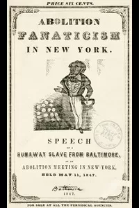 Abolition Fanaticism in New York