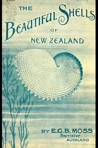 Beautiful Shells of New Zealand