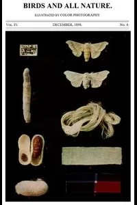 Birds and All Nature, Vol. 4, No. 6, December 1898