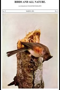 Birds and All Nature, Vol. 5, No. 3, March 1899