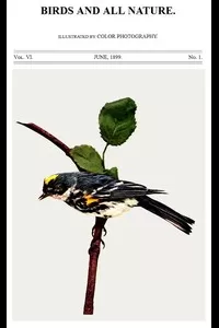 Birds and All Nature, Vol. 6, No. 1, June 1899