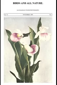 Birds and All Nature, Vol. 6, No. 4, November 1899