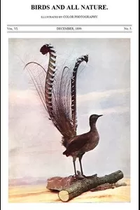 Birds and All Nature, Vol. 6, No. 5, December 1899