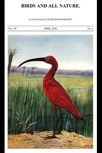 Birds and All Nature, Vol. 7, No. 4, April 1900