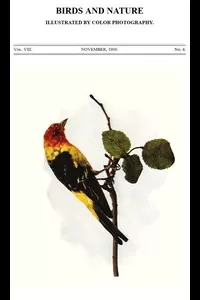 Birds and Nature, Vol. 08, No. 4, November 1900