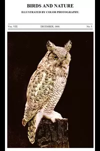 Birds and Nature, Vol. 08, No. 5, December 1900