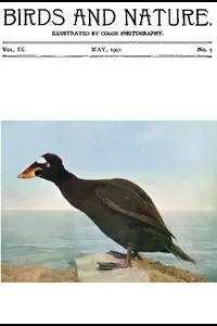 Birds and Nature Vol. 09 No. 5 [May 1901]
