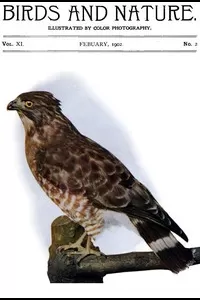 Birds and Nature Vol. 11 No. 2 [February 1902]