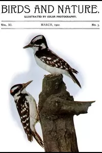 Birds and Nature Vol. 11 No. 3 [March 1902]