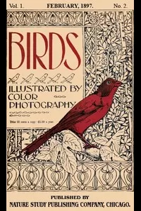 Birds, Illustrated