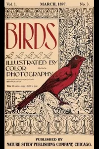 Birds, Illustrated