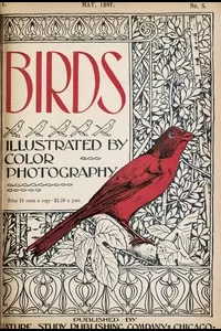 Birds, Illustrated
