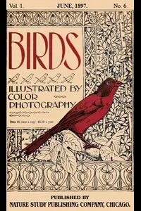 Birds, Illustrated