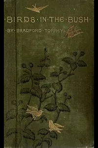 Birds in the Bush