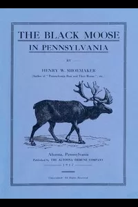 The Black Moose in Pennsylvania