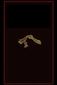 The Blood Covenant: A Primitive Rite and its Bearings on Scripture