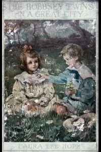 The Bobbsey Twins in a Great City