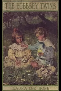 The Bobbsey Twins
