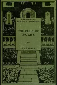 The Book of Bulbs