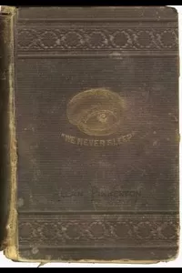 The Burglar's Fate, and The Detectives