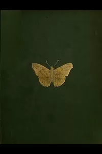 The Butterflies and Moths of Teneriffe