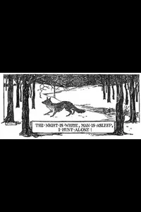 Creatures of the Night: A Book of Wild Life in Western Britain