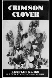 Crimson Clover [1938]