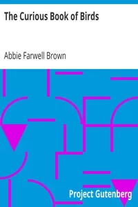 The Curious Book of Birds