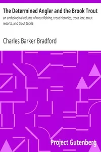 The Determined Angler and the Brook Trout