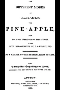 The different modes of cultivating the pine-apple