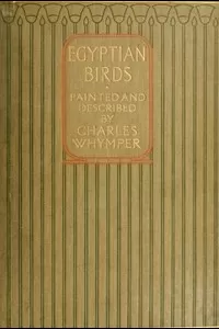 Egyptian Birds