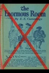 The Enormous Room