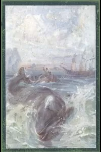 Fighting the Whales