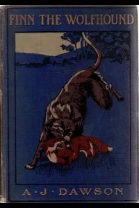 Finn The Wolfhound