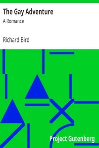 The Gay Adventure: A Romance