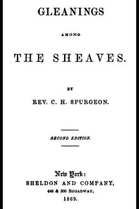Gleanings among the Sheaves