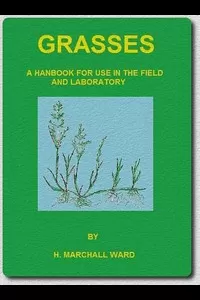 Grasses: A Handbook for use in the Field and Laboratory