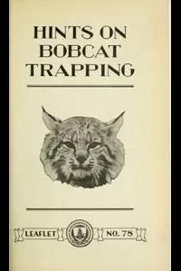 Hints on Bobcat Trapping