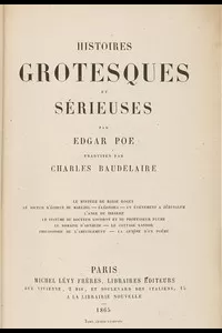 Histoires grotesques et sÃ©rieuses