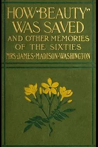 How Beauty Was Saved, and Other Memories of the Sixties