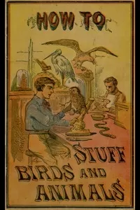 How to Stuff Birds and Animals