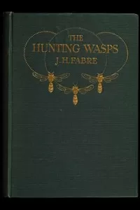 The Hunting Wasps