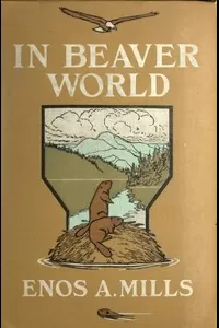 In Beaver World
