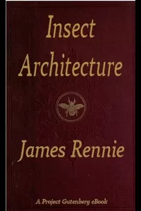 Insect Architecture