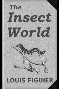 The Insect World