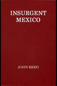 Insurgent Mexico