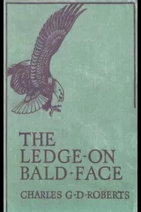 The Ledge on Bald Face
