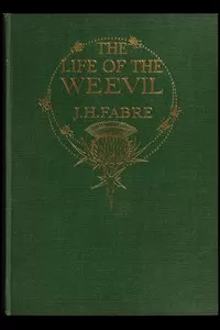 The Life of the Weevil