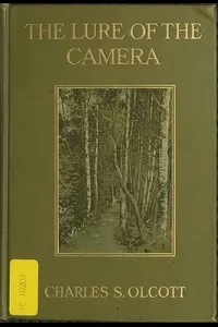 The Lure of the Camera