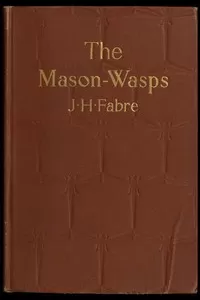 The Mason-Wasps